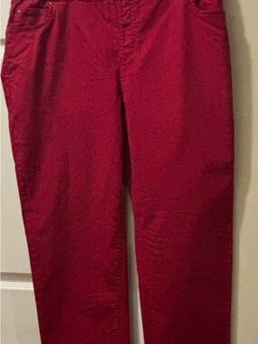 Appleseed's DreamFlex Denim Easy Pull-On Tapered Size 16